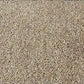 Brown & White Cotton Entrance Mat – PVC Backed for Office and Home
