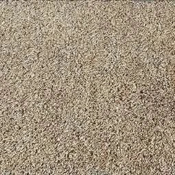 Brown & White Cotton Entrance Mat – PVC Backed for Office and Home