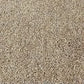 Brown & White Cotton Entrance Mat – PVC Backed for Office and Home