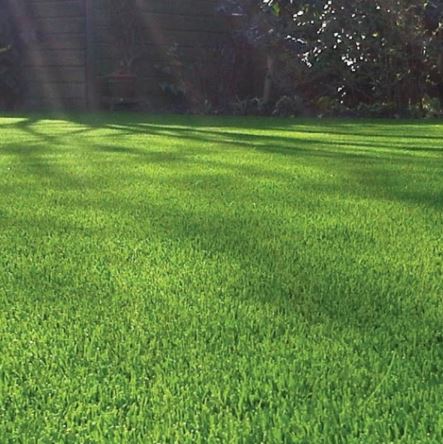 Artificial Grass 20mm, 25mm, 30mm, 40mm Quality Fake Lawn Astro Turf Best Prices