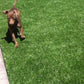 Artificial Grass 20mm, 25mm, 30mm, 40mm Quality Fake Lawn Astro Turf Best Prices