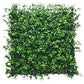 Artificial Plant Flower Living Wall Panels Realistic - Boxwood - 50cm x 50cm