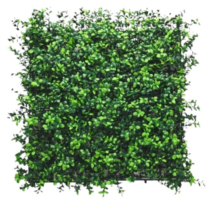 Artificial Plant Flower Living Wall Panels Realistic - Boxwood - 50cm x 50cm