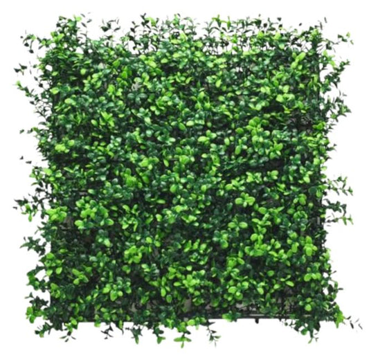 Artificial Plant Flower Living Wall Panels Realistic - Boxwood - 50cm x 50cm
