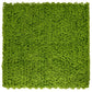 Artificial Plant Flower Living Wall Panels Realistic- Moss- Indoor / Outdoor