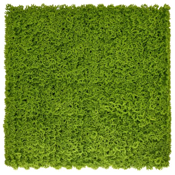 Artificial Plant Flower Living Wall Panels Realistic- Moss- Indoor / Outdoor