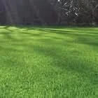 Luxury 40mm Artificial Grass | Cheap Realistic Fake Lawn Turf | Soft & Thick