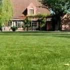 Artificial Grass Dog Cat Pet Safe Realistic Lawn Astro Turf 6mm - 40mm 6 Widths