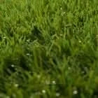 20mm Artificial Grass Natural and Realistic Looking Fake Lawn Astro Turf