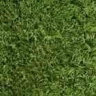 20mm Artificial Grass Natural and Realistic Looking Fake Lawn Astro Turf