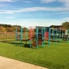 Artificial Grass Dog Cat Pet Safe Realistic Lawn Astro Turf 6mm - 40mm 6 Widths