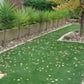 Artificial Grass Dog Cat Pet Safe Realistic Lawn Astro Turf 6mm - 40mm 6 Widths