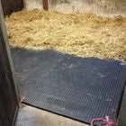 Black Stable Horse Floor Matting EVA 24mm EVA Cushioned Flooring Mats