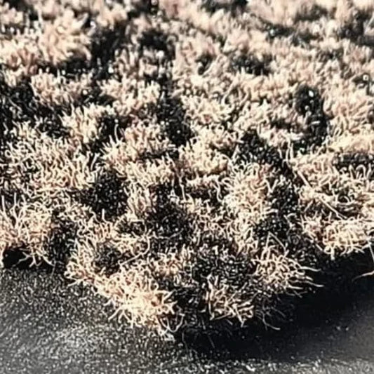 PVC backed Fiesta Tuffed cut pile Carpet Door mats Brown and black