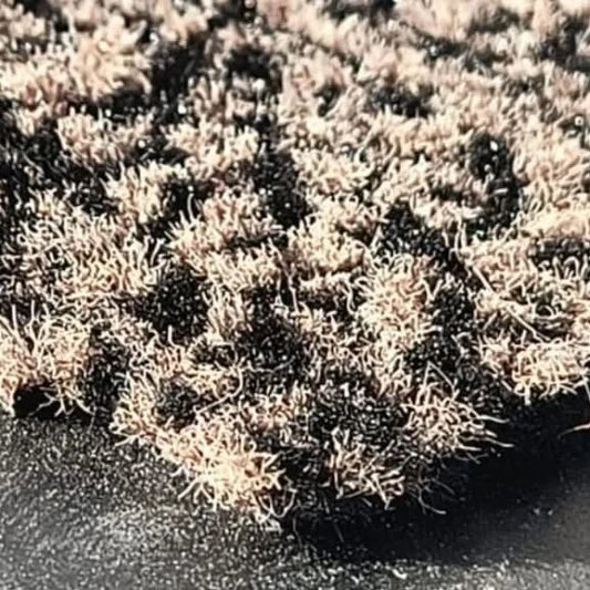 PVC backed Fiesta Tuffed cut pile Carpet Door mats Brown and black