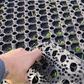 Gateway /Mud/ Rubber Grass Mat - 1Mx0.5Mx16mm
